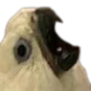 aaaa aaaa