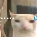 errr