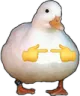 duckuwu