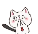 3639catshock