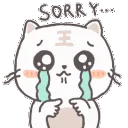 4944catsorry