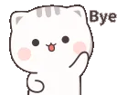 5349peachbye