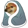dogeblanket Discord Emoji