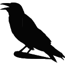 wc_crow