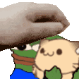 peppoandcatpet