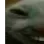lun