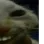 ar ar
