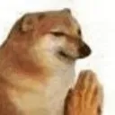 dogeprayhumanhand