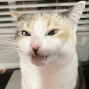 hehehe