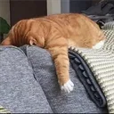 1da10b686f914e8e84524c496e41e836