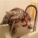 829867ae8ea04bfc82fc9949e4cec37f