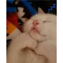 91395f414c714d45b5c83050f089af5a