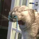 4276d29d5e85ac5f79566866be5feaad