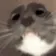 AREYOUAGIRL