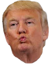 trumpkiss Discord emoji