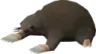GiantMole0