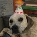 bday