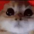 catrage