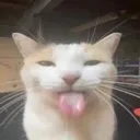 sillytime