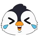 Laughing_Pedrito Laughing_Pedrito