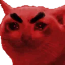 angrycat