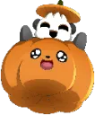 Panda Pumpkin pandapumpkin Discord Emoji