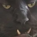 grr