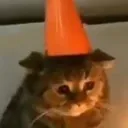 sad_kitty