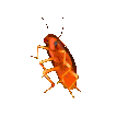 danecroach Discord emoji