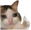 SadCatThumb SadCatThumb