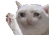 SadCatWave