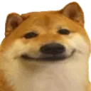 dogebruh