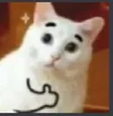 okeKaiser