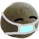 roc_mask