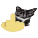 fcukyoy