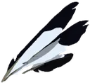 NBDH_feathers NBDH_feathers