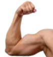 flexLeft