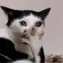 khok