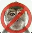 ANTI_KSEGI