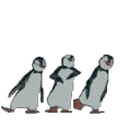 nub_dance2