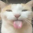 blehhhhh