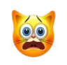 NO
