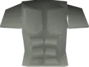 torso