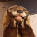 Otter