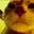 rgbcat rgbcat