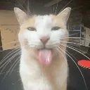 blehhhh