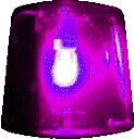 weewoo_purple