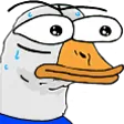 monka