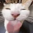 bleeeeh