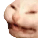 lemoncat